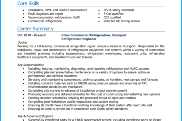 Ingénieur frigoriste CV 1