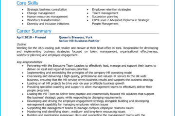 CV Partenaire d'Affaires Senior RH 1