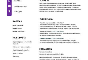 Curriculum Vitae chilien simple – Modèles de CV