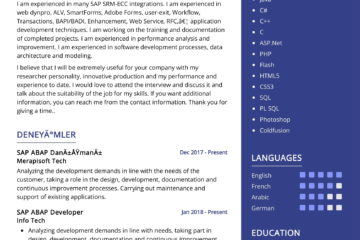 Exemple de CV de développeur SAP ABAP 2022 |  Conseils de rédaction – ResumeKraft