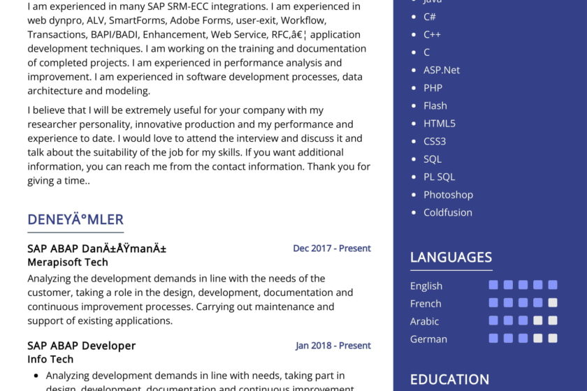 Exemple de CV de développeur SAP ABAP 2022 |  Conseils de rédaction – ResumeKraft