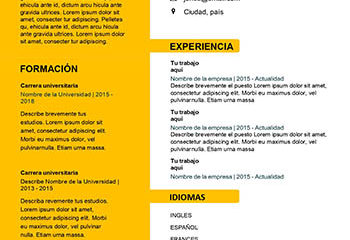 Format de curriculum vitae chilien dans Word – Modèles de CV