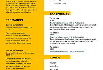 CV au format unique en word