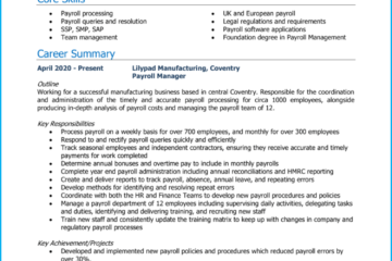 Gestionnaire de paie CV 1