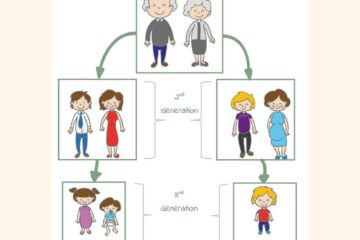 modèle d'arbre généalogique gratuit pour enfants de 3 générations 880x1140-1