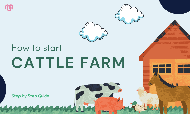 Comment démarrer une entreprise d’élevage bovin – Guide étape par étape