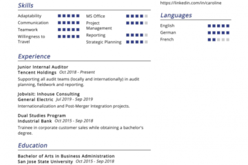 Top 20 des compétences de CV d'auditeur interne pour 2022 - ResumeKraft