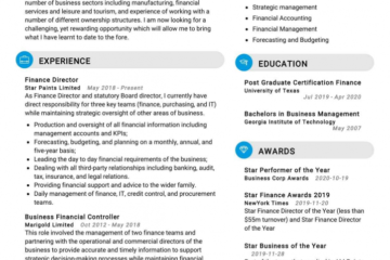 Top 20 des compétences de CV du directeur financier pour 2022 – ResumeKraft