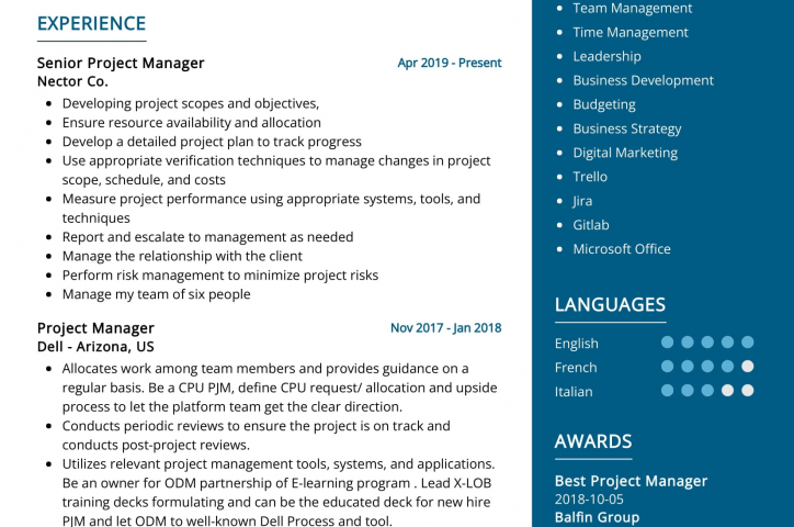 Top 20 des compétences de CV d'un chef de projet informatique en 2022 - ResumeKraft