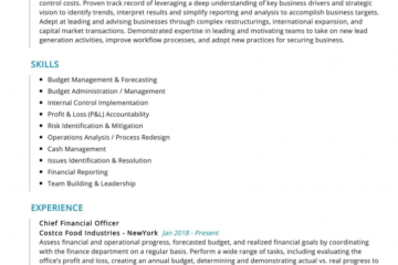 Top 20 des principales compétences de CV du directeur financier pour 2022 – ResumeKraft