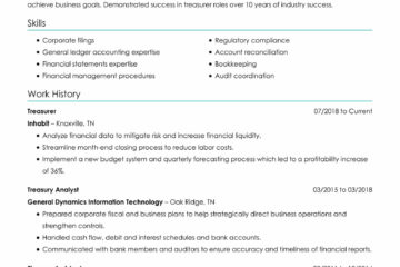 Trésorier |  Modèles de CV gratuits + Guide pratique