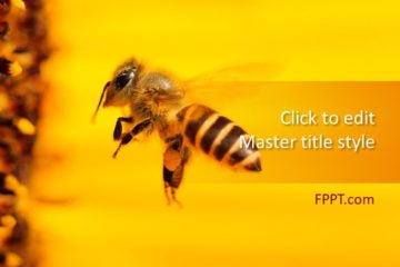 Modèle PowerPoint gratuit d’abeille à miel – Modèles PowerPoint gratuits